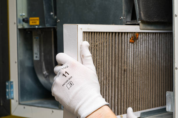 Best Home Air Vent Cleaning  in Oakhurst, CA